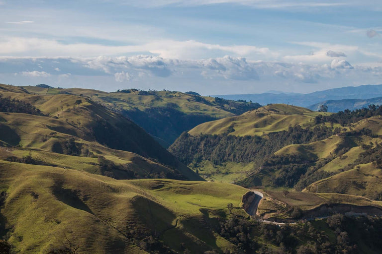 A Journey Through the Coffee-Growing Regions of the World and Their Unique Flavor Profiles