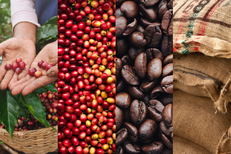 2025 Coffee Market Update