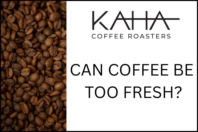 Can Coffee Be Too Fresh?