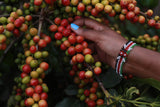 KAHA Summer Blend