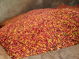 KAHA Summer Blend