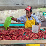 De La Luz Espresso Direct Trade 6 oz