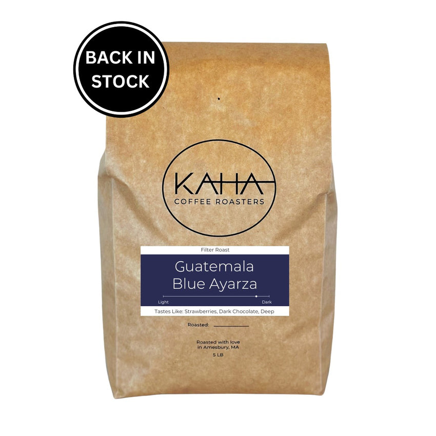 Guatemala Blue Ayarza 5 lb Bag